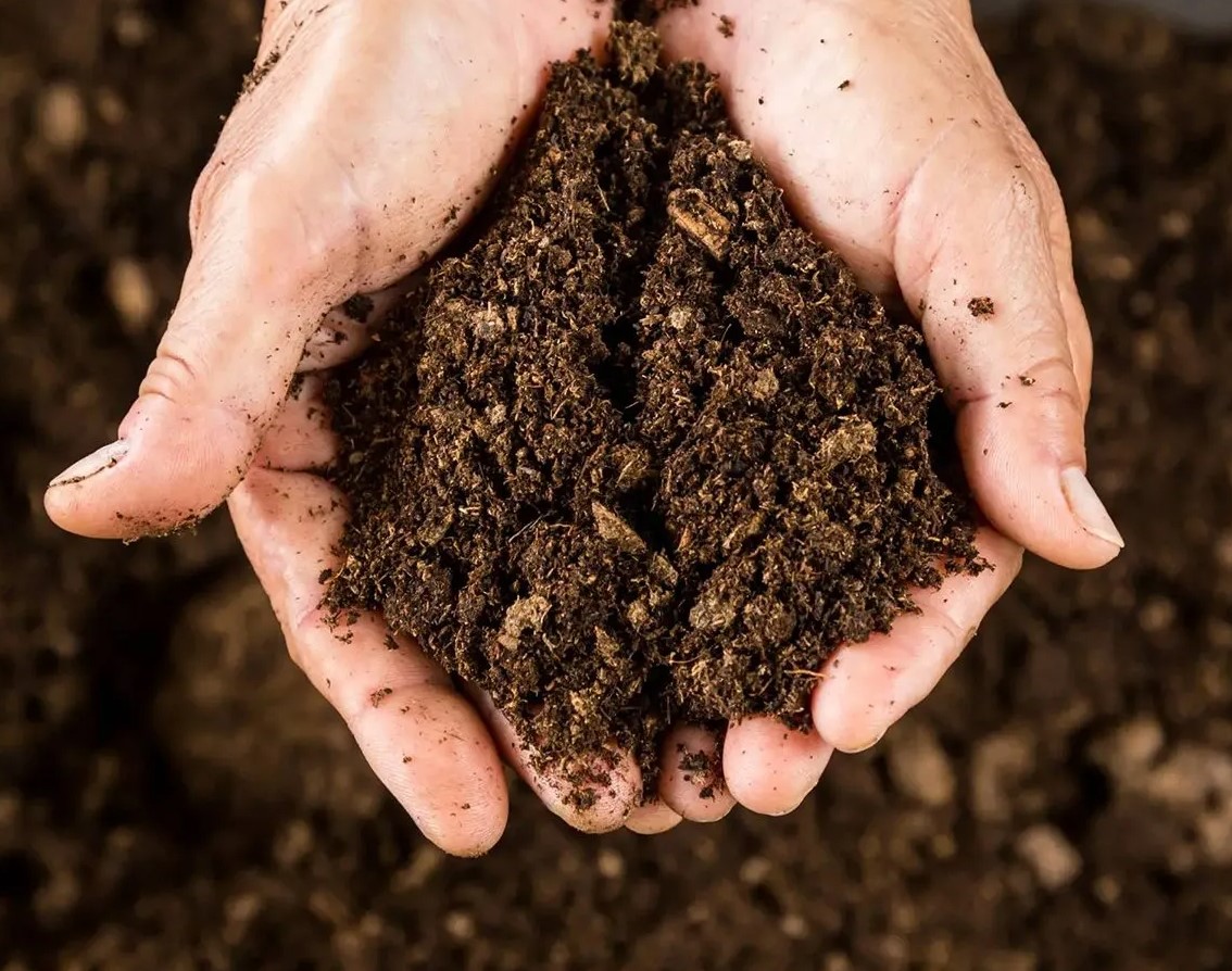 [NEW] Sapete che Carlo Noro è uno dei pionieri della biodinamica in Italia?