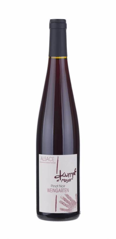 Pinot Noir Weingarten