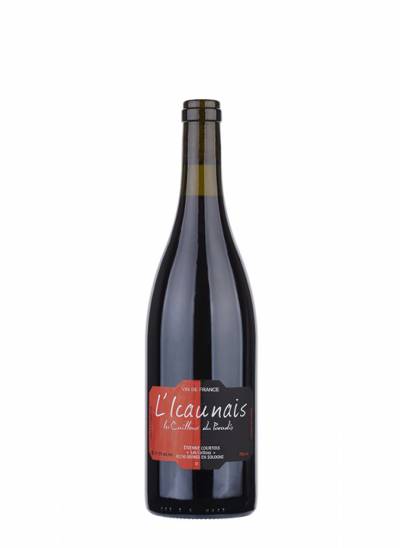 L'Icaunais