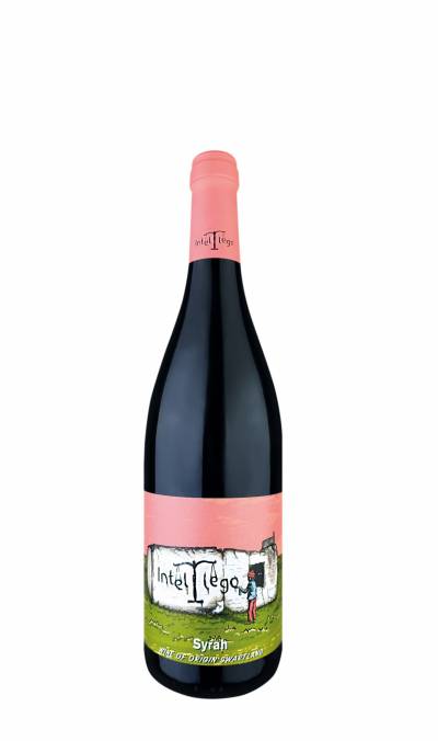 Intellego Syrah