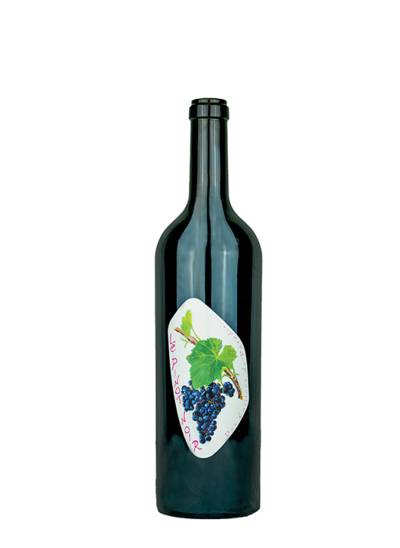 Pinot Noir