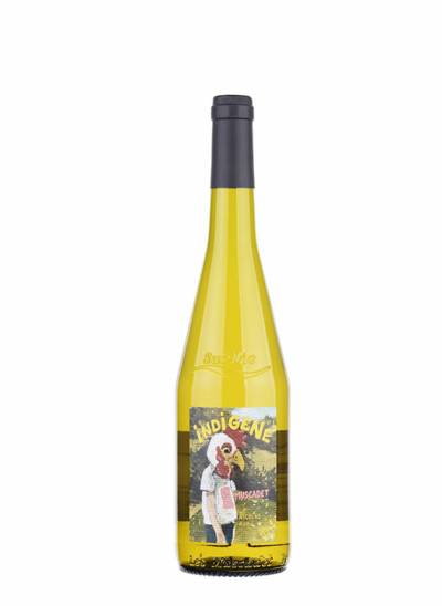Muscadet Indigene