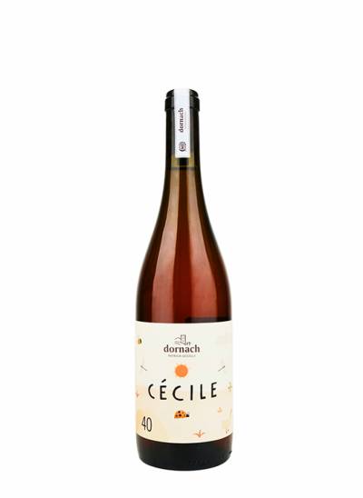Cecile Souvignier Gris