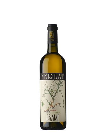 Grame Malvasia